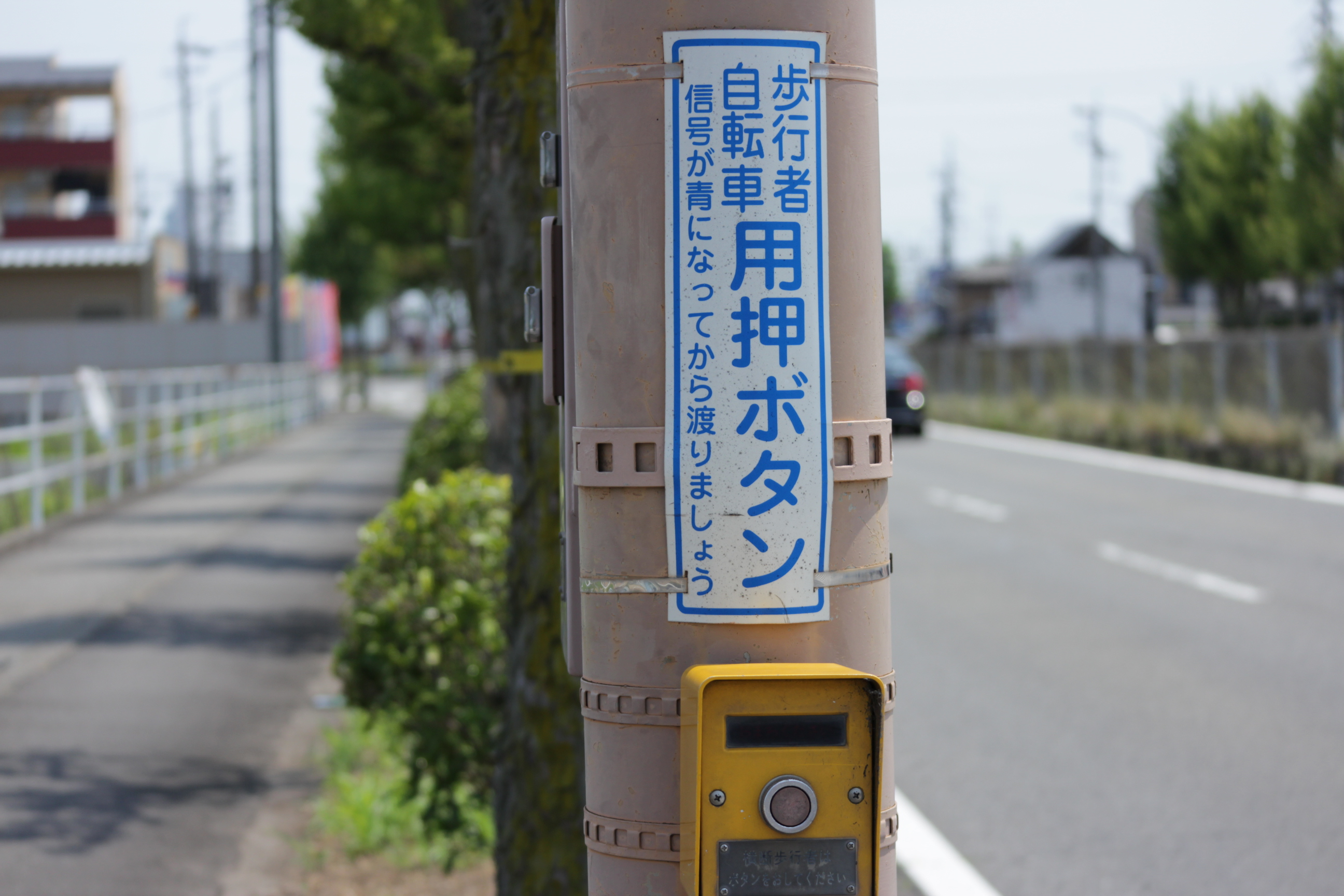 自転車走行時の信号機について。 サギサカブログ株式会社サギサカ