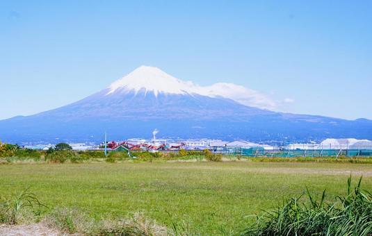 富士川緑地公園 ホームメイト