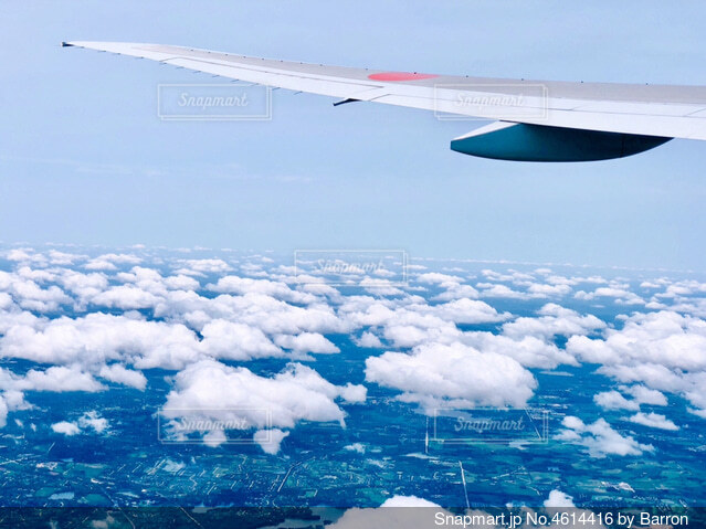 空から見た海の写真館海とかもめ部