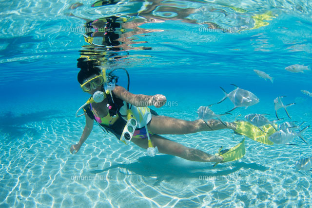 シュノーケリングについてグルービーツアー モルディブ旅行の老舗専門店