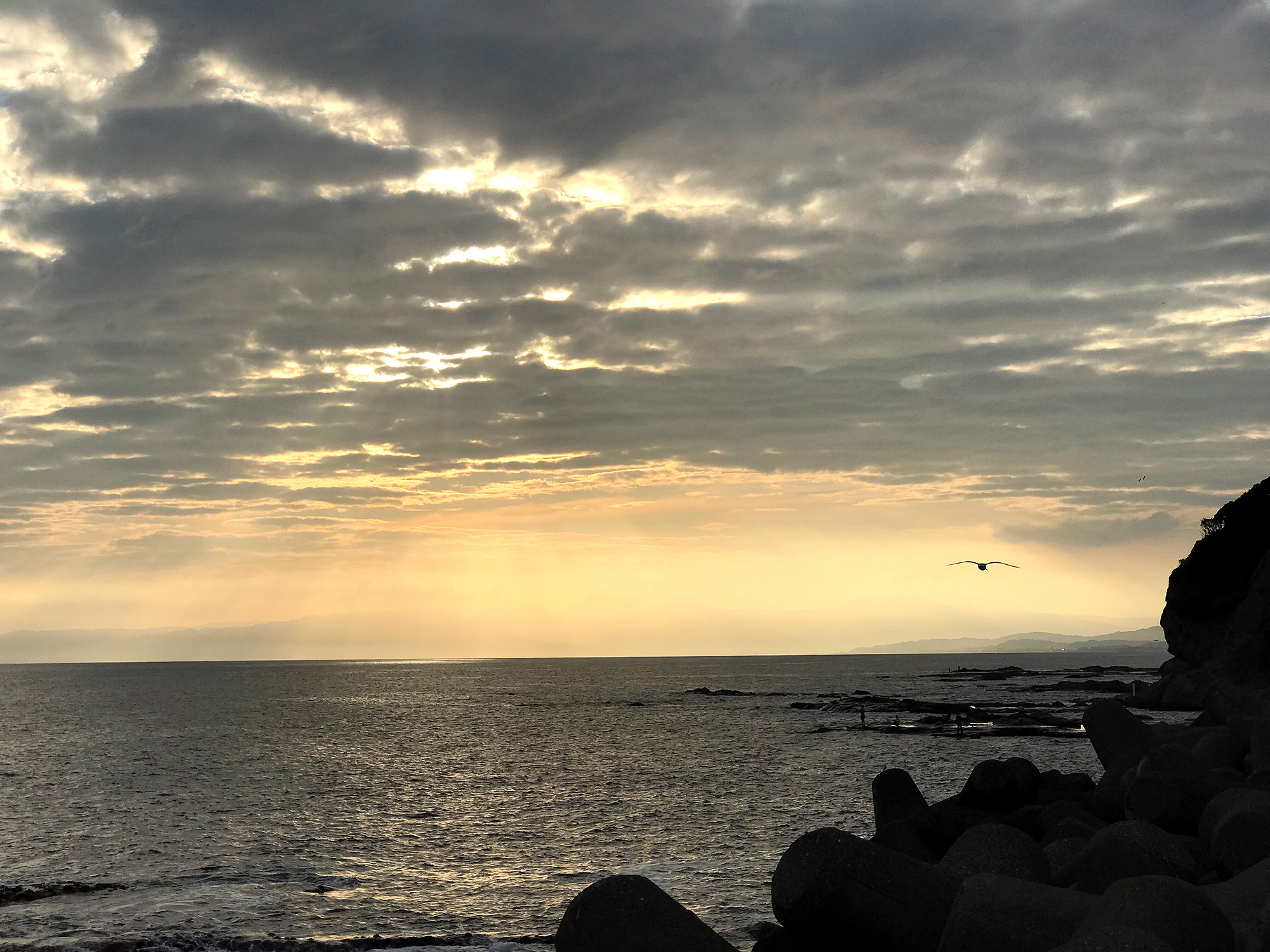 5,000点を超える江ノ島のストックフォト、写真、そしてロイヤリティフリーの画像 - iStock湘南,