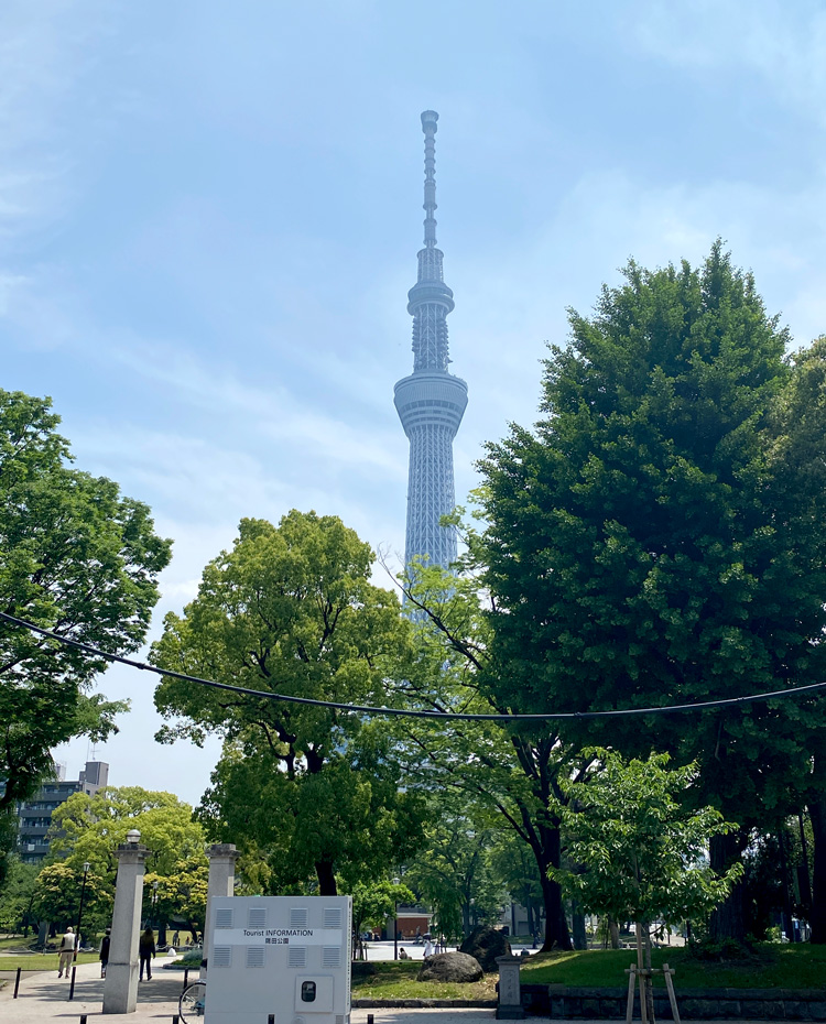 台東区立隅田公園体験・観光スポット台東区公式観光情報サイト