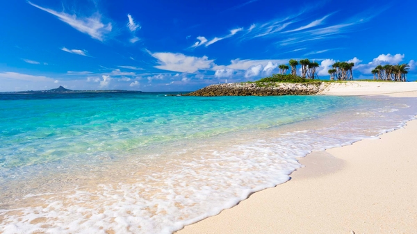 みなさんこんにちは☀ロイヤルビューホテル美ら海 では、2025年3月20日 木・祝 からガーデンプール がオープンいたしました😆突き抜けるような青空にキラキラと輝くプールはリゾート気分を一層盛り上げてくれます♥