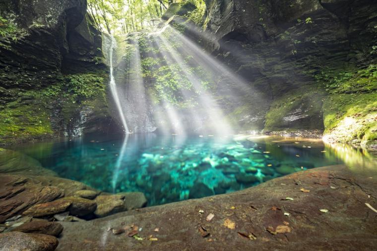 2024年7月最新 東京発日帰り女子旅！関東近郊のインスタ映えスポット15選ガイド - AVA