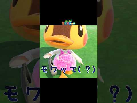 あつ森 カモミのどうぶつ情報移住方法 あつまれどうぶつの森AppMedia