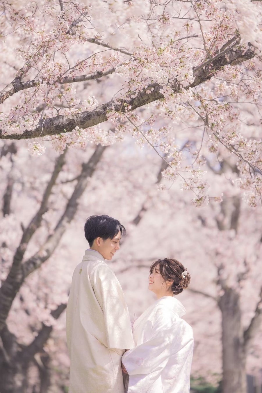 絶景 冬の幻想的な『北海道富良野観光』を楽しむ冬のブライダルロケーションフォト受付解禁有限会社三景スタジオのプレスリリース