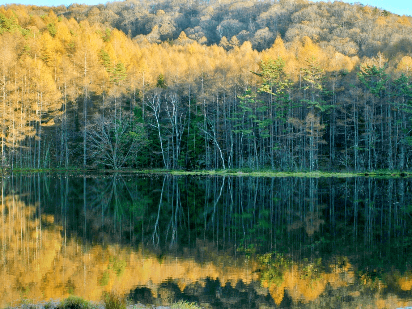 2025 現地スタッフ厳選！長野県のおすすめ観光スポット26選楽天トラベル