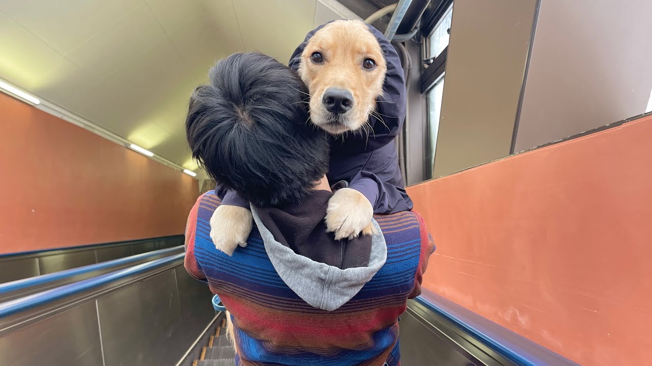 8番出口』ライクホラーゲーム『エスカレーターEscalator』1月7日にSteamでリリースGame*Spark -国内・海外ゲーム情報サイト