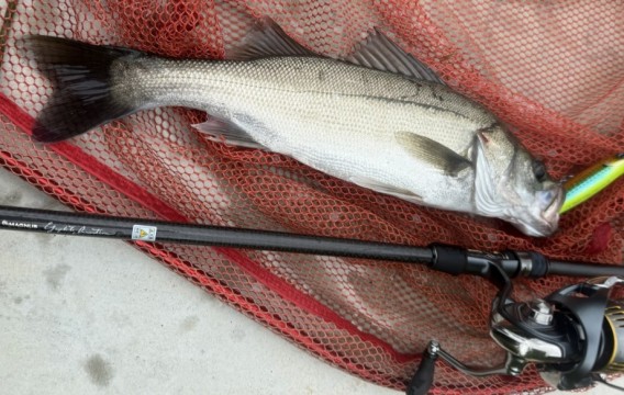 釣り場 荒川・旧岩淵水門で秋ハゼを釣る！ 紹介- 釣りとバイクが趣味なんだ
