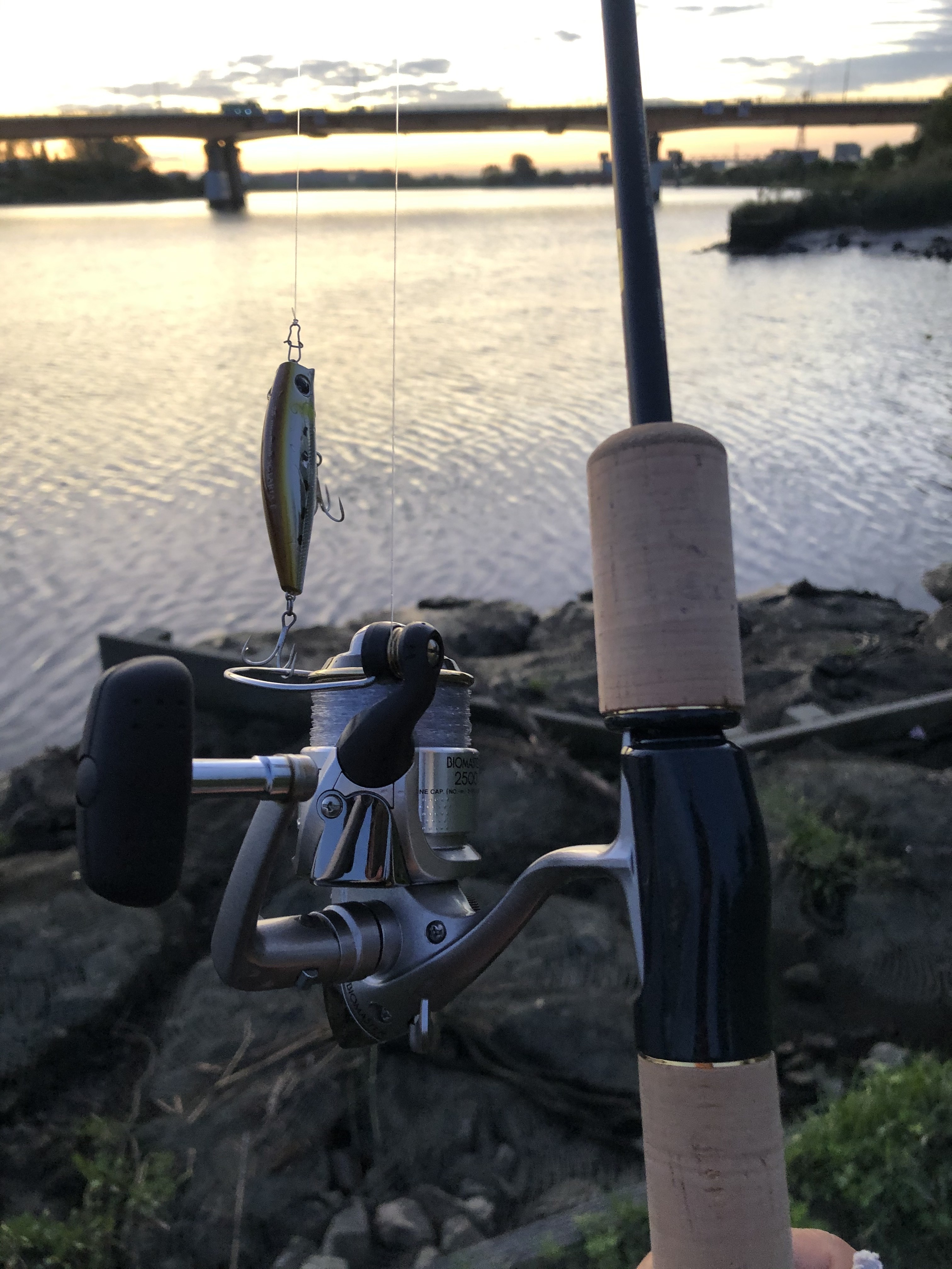 岩淵水門 東京・北下町の氾濫防ぐ守りの要 - 日本経済新聞