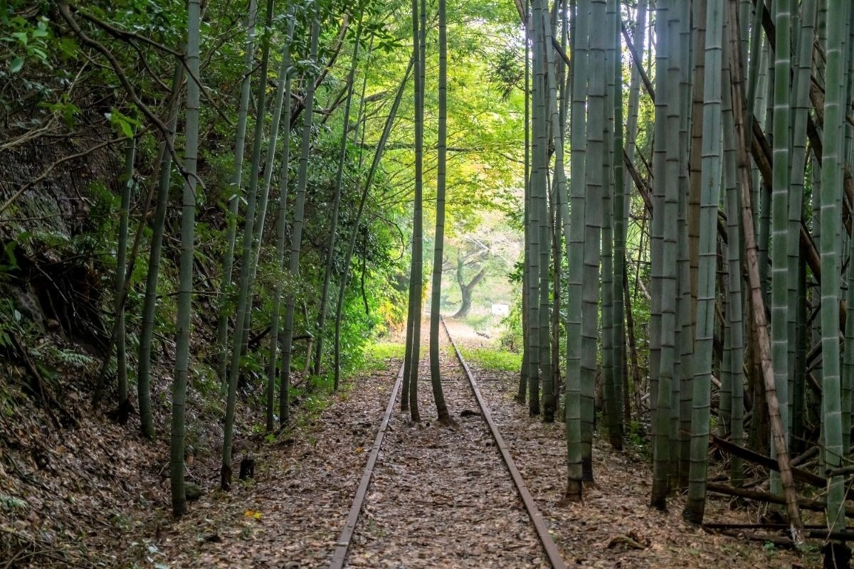 ＪＲ福知山線廃線跡 アクセス・営業時間・料金情報 - じゃらんnet