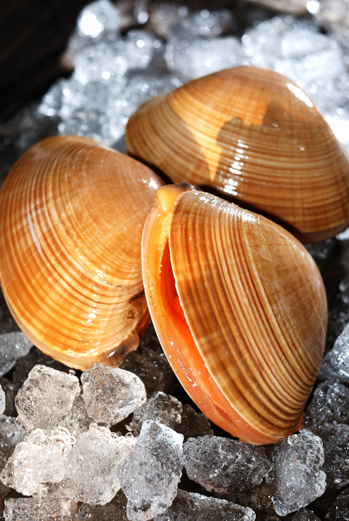 オンもオフもモードに！カイア・ガーバーのファッション102連発