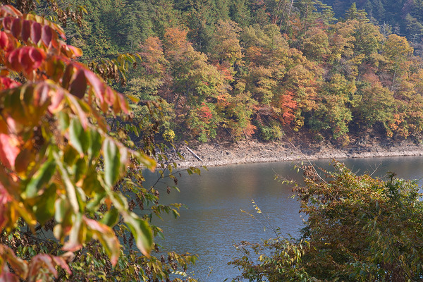 留浦の浮橋 クチコミ・アクセス・周辺情報奥多摩 - フォートラベル