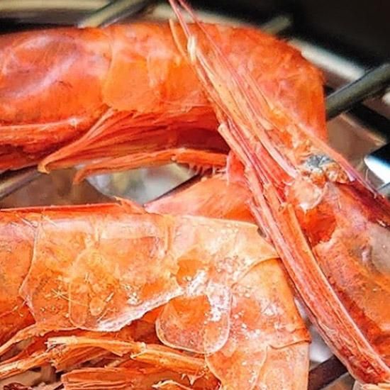 インド産 スタールビー ルース