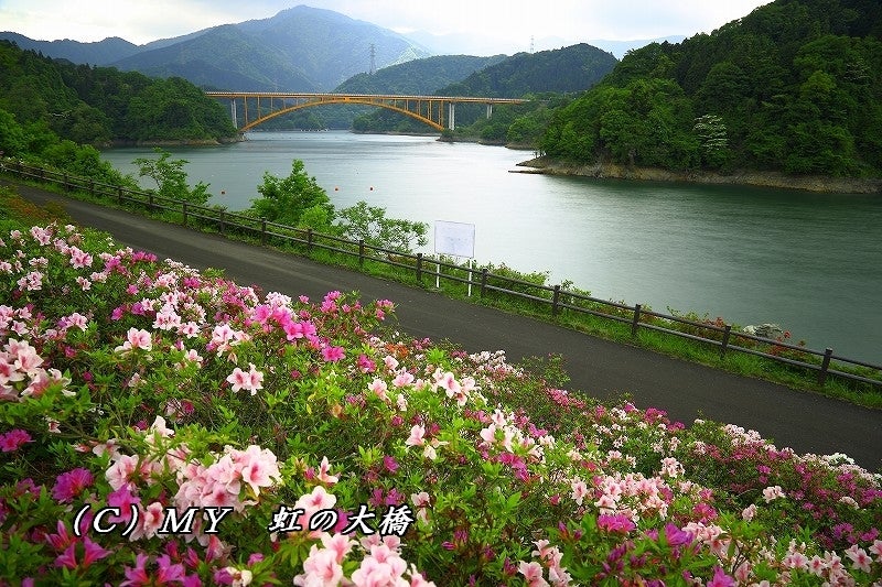 神奈川県 宮ヶ瀬湖 虹の大橋 秋の写真素材45537996- PIXTA