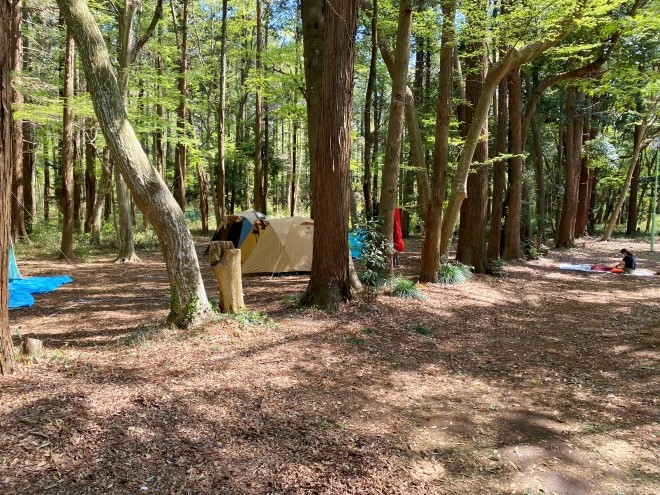 大浴場も完備でキレイな穴場キャンプ場！』フォレストアドベンチャー・ターザニアの最新情報子供とお出かけ情報「いこーよ」