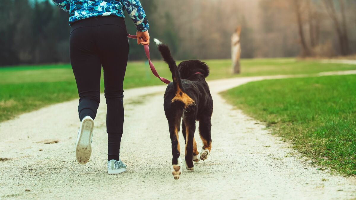世界 裕福な国ランキング！1人当たりのGDPが高い豊かな海外旅行先