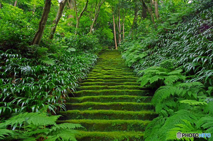 鎌倉を感じる穴場スポット10選！デートにおすすめのカフェやグルメも旅先で特別な結婚写真が残せるフォトジェニックジャーニー by