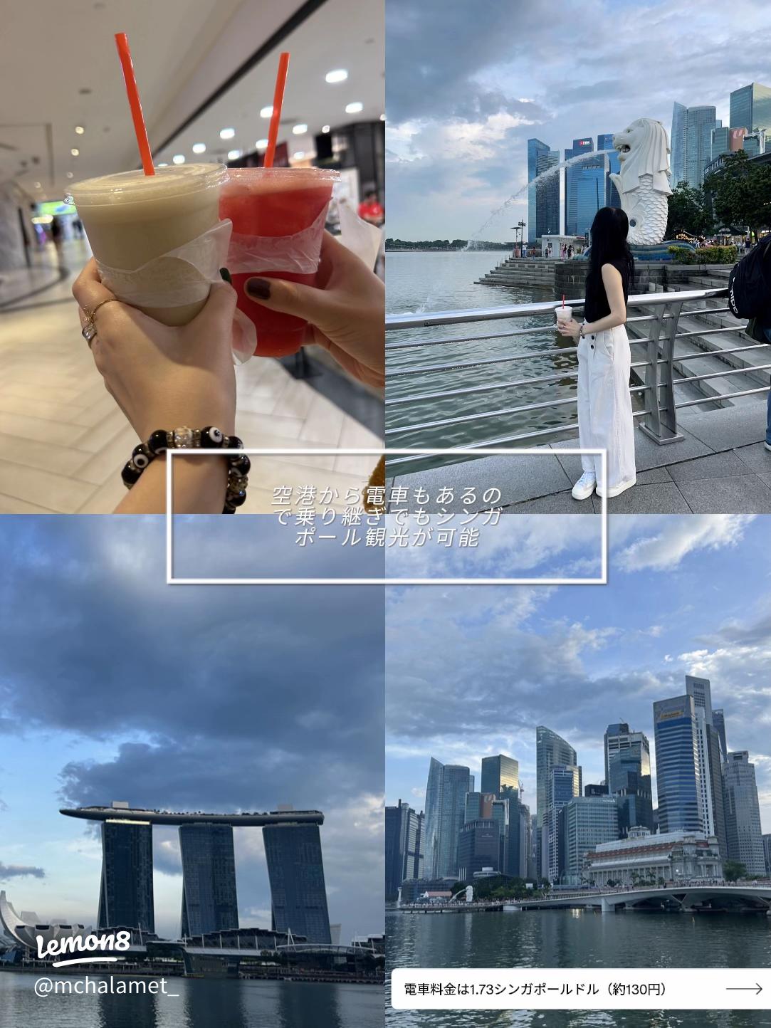 チャンギ空港 乗り継ぎTikTok