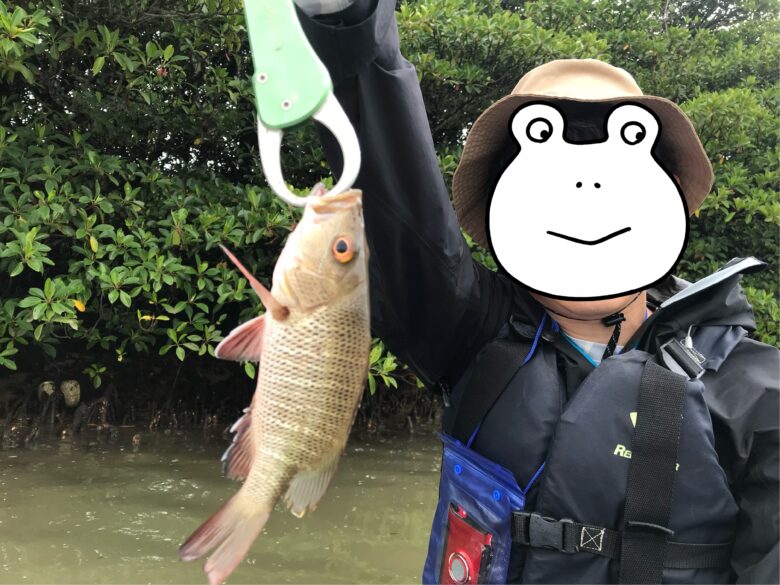 沖縄・石垣島 カヤックフィッシング！海やマングローブでカヤックからのルアーフィッシングが楽しめます。本格派から初心者まで大歓迎！ 一日アクティビティジャパン