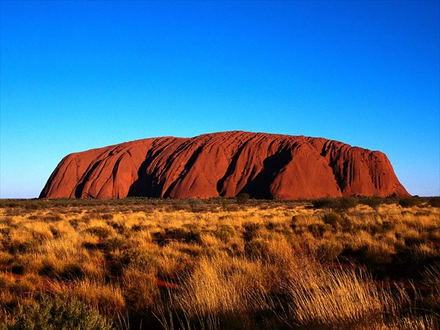 栃木日光の美味しいグルメスポット