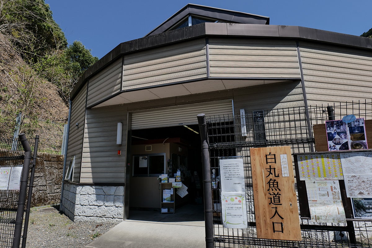 白丸魚道東京とりっぷ