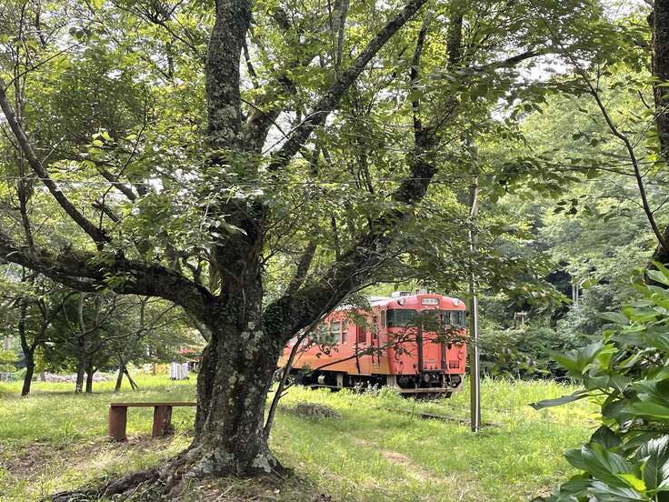 俯瞰の銀杏の紅葉と上総大久保駅 小湊鉄道 写真素材6940410-