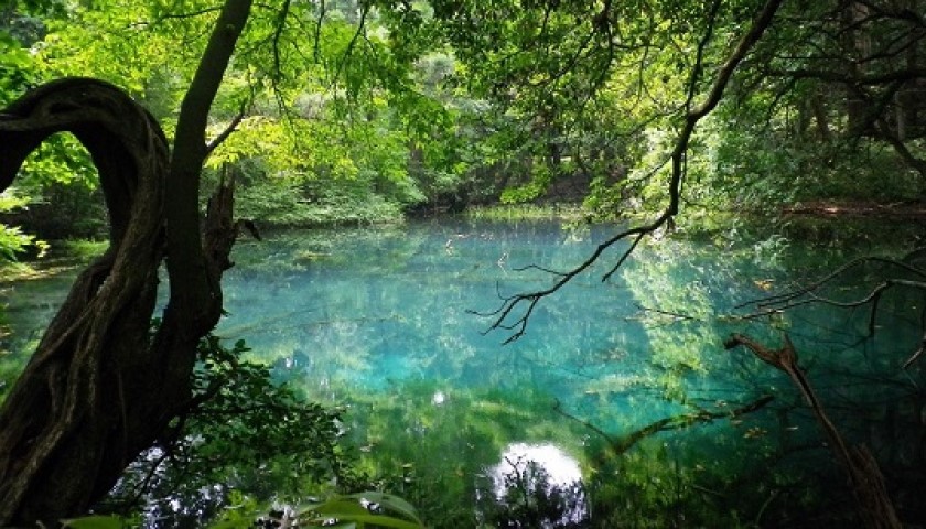 丸池様 遊佐町片目の魚伝説！？エメラルドグリーンに輝く神秘的な池LAFRAN