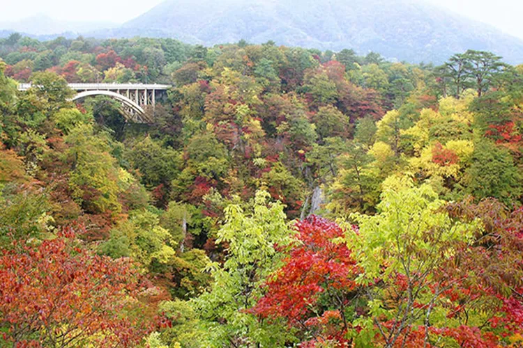 鳴子峡 -宮城県 の詳細情報ことりっぷ