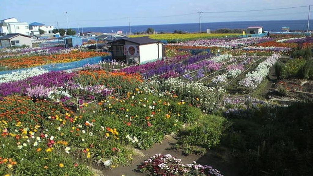 道の駅 ちくら潮風王国スポット・体験千葉県公式観光サイト ちば観光ナビ