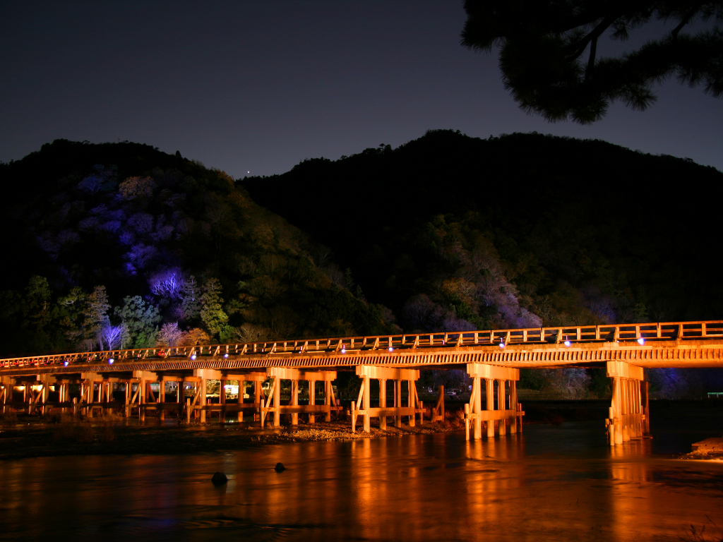 夏の京都、夜のおすすめイベント2025 ライトアップ・夜間特別拝観などそうだ 京都、行こう