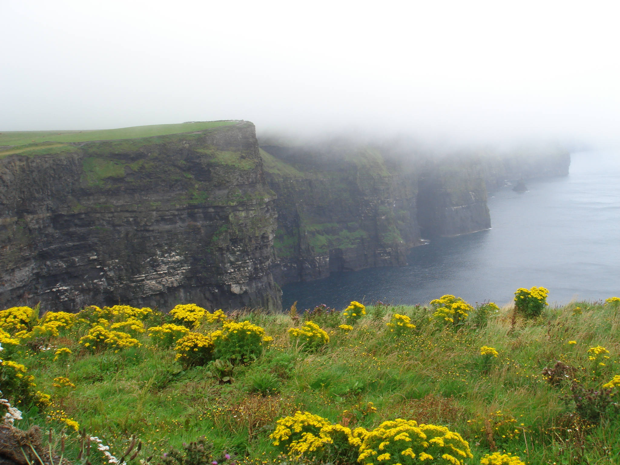 絶対に行きたい！ アイルランド 緑と海の超穴場、絶景の断崖クリフ・ウォークでお散歩を。旅の音楽家 studio iota