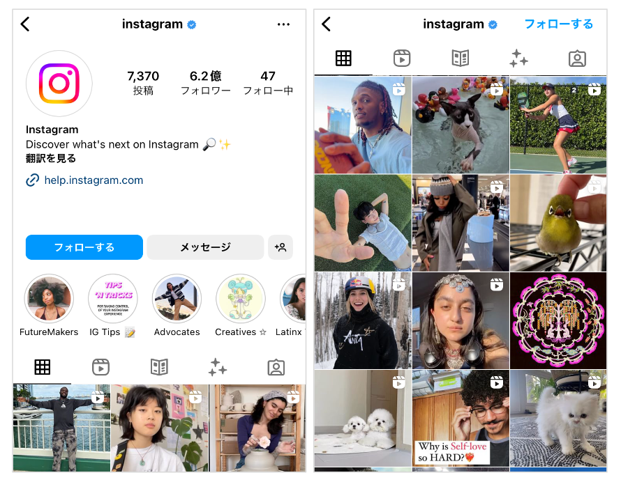 iPhone インスタ映えする写真の撮り方