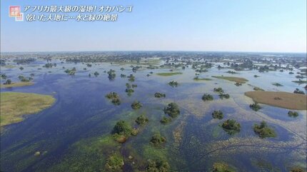 オカバンゴ・デルタの風景 ボツワナの風景Beautiful Photo.net世界の絶景