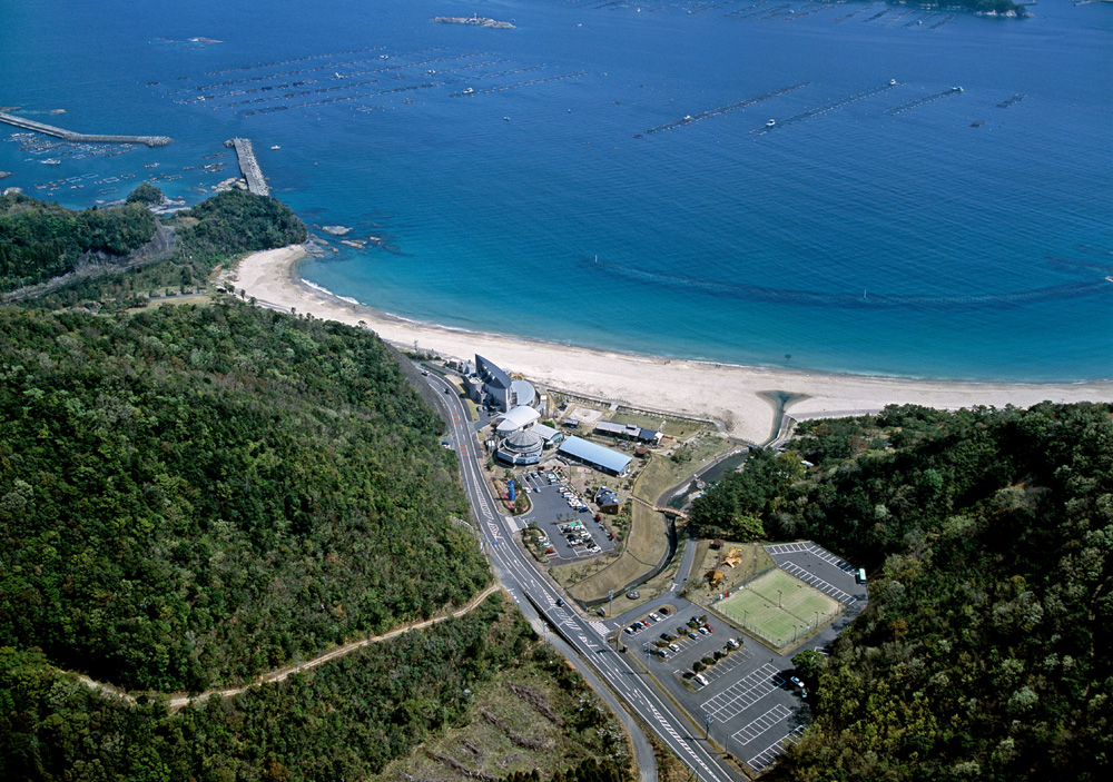 道の駅 フェニックス -宮崎県 の詳細情報ことりっぷ