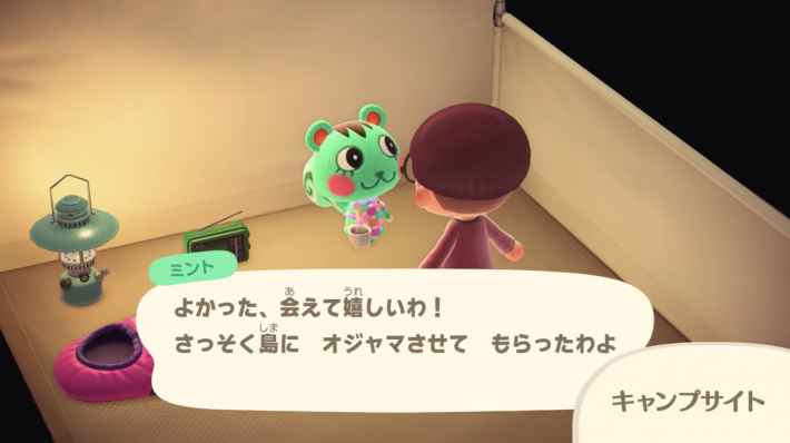 あつ森 コレが最速で確実！超効率的なキャンプサイト厳選を実践しながら丁寧に解説します！ あつまれどうぶつの森