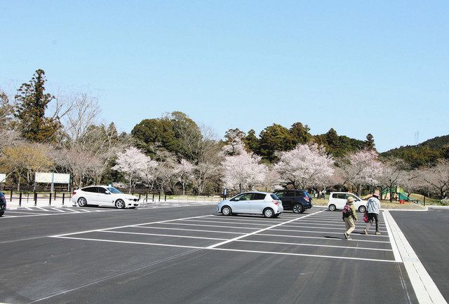 新城の桜淵公園、再整備完了 ３年ぶりにさくらまつり開催、４月７日まで：中日新聞Web