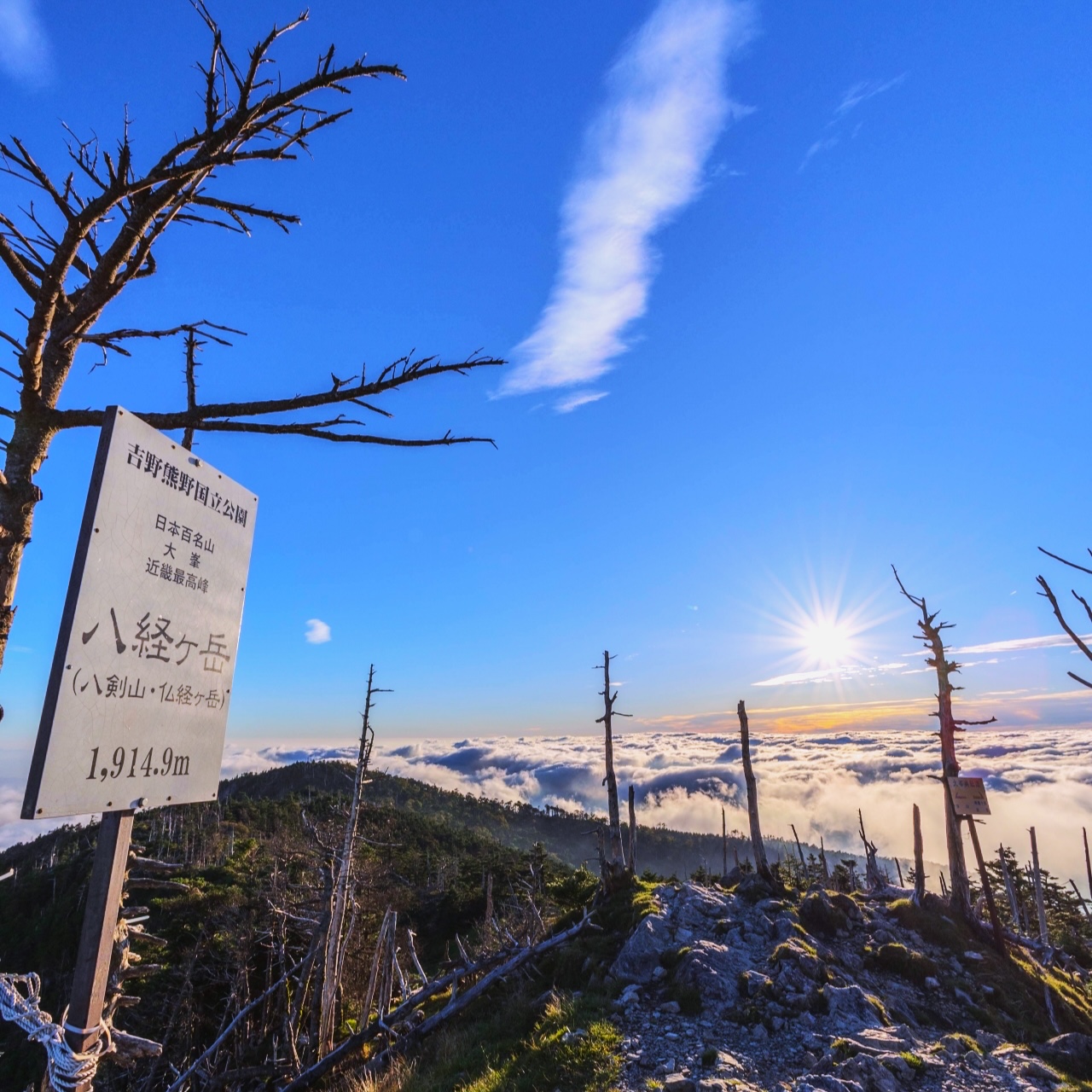 6月27日出発 こだわりルートで歩く大峰山 八経ヶ岳 - 関西を出発拠点とした少人数山旅企画