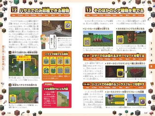 マイクラ 画面分割マルチプレイのやり方 Switchひきこもろん