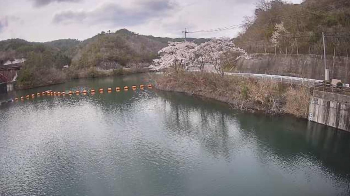 荒川ダムライブカメラ - 昇仙峡観光協会