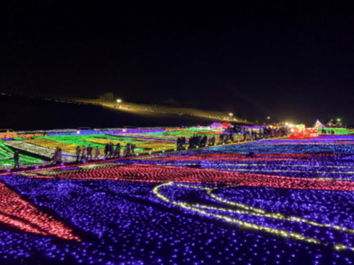 2024 東京ドイツ村ウインターイルミネーションの開催情報・楽しみ方THE GATE日本の旅行観光マガジン・観光旅行情報掲載