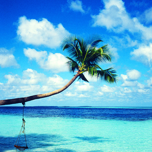 拾い画申し訳ありません。このような画像のコラージュ？ができるアプリが知- Yahoo!知恵袋