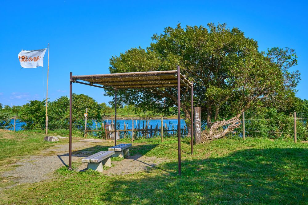 2025年 矢切の渡し - 出発前に知っておくべきことすべて -