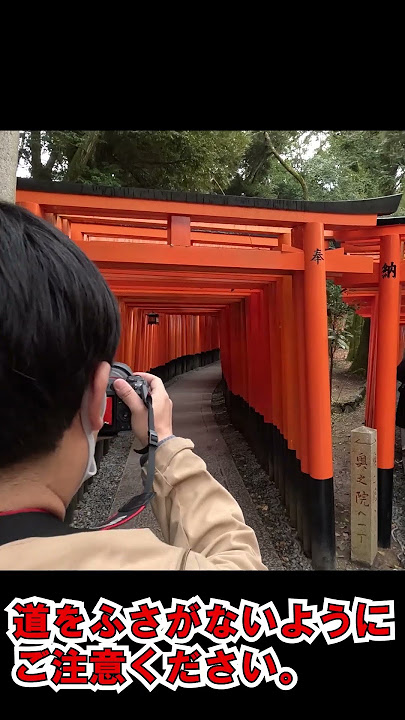 千本鳥居の魅力的な撮り方ガイド2025 年のリアルなLemon8ユーザー体験