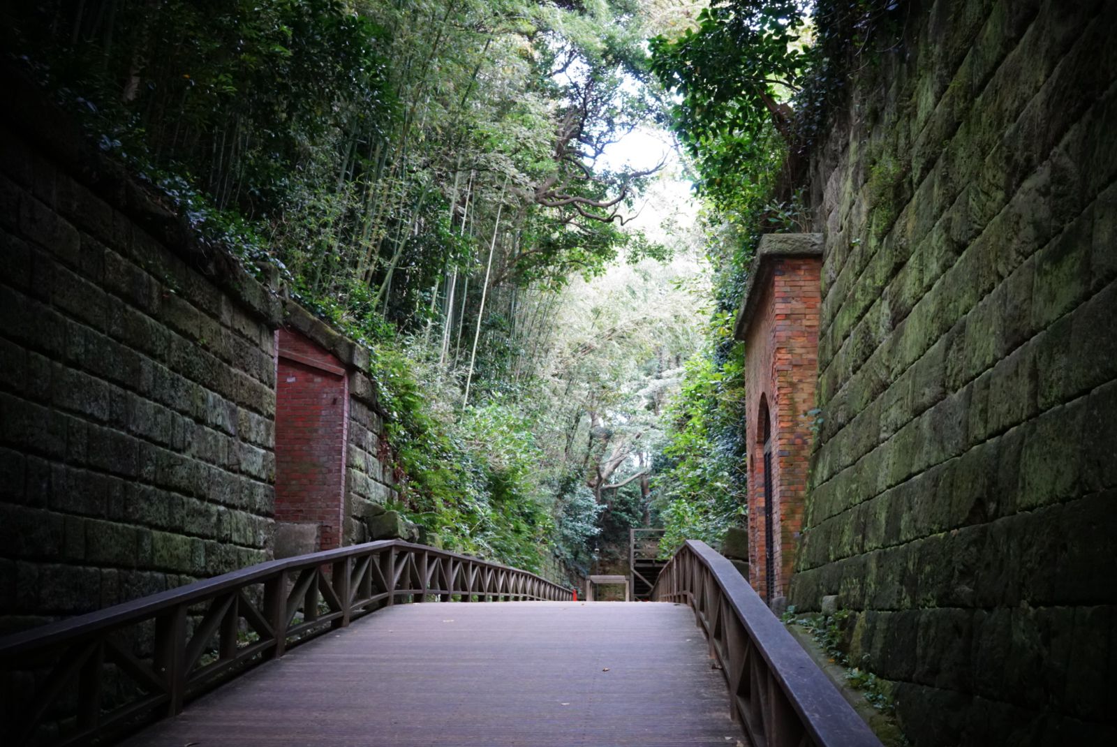 自然・アート・温泉・グルメ 関東ひとり旅のおすすめスポットを楽しみ方別に紹介びゅうトラベル JR東日本
