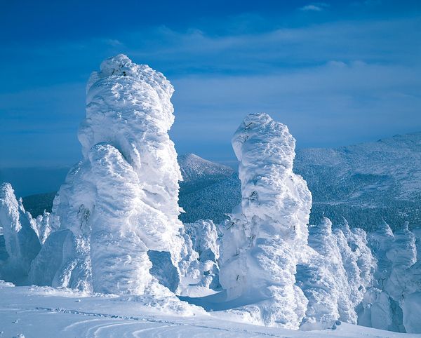 仙台市 デートスポット 冬TikTok