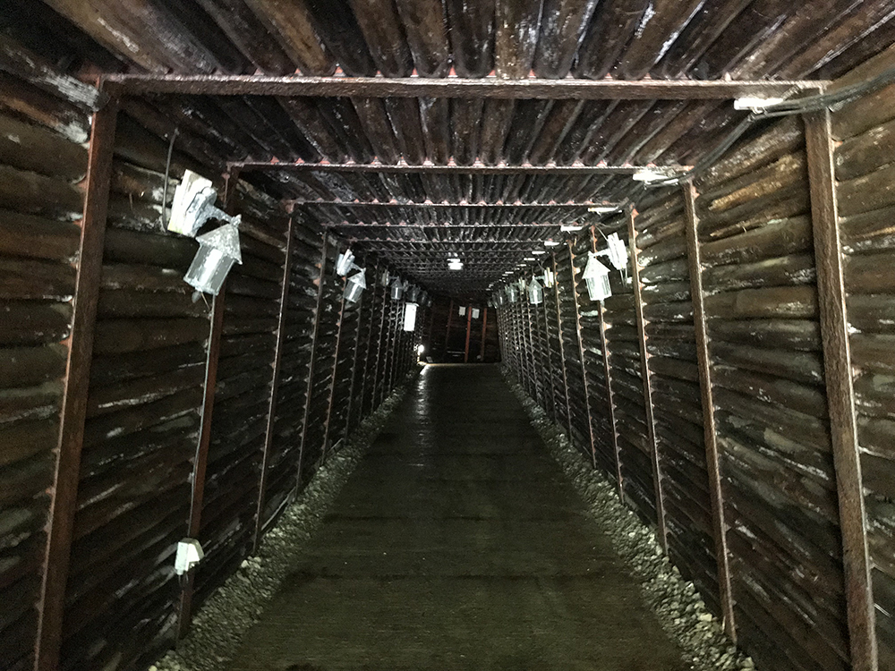 ゴールデンウィークは半世紀ぶりの尾小屋鉄道 8 かつての尾小屋駅は今。稲見駅長の鉄道だよ人生は!!稲見眞一中京テレビ