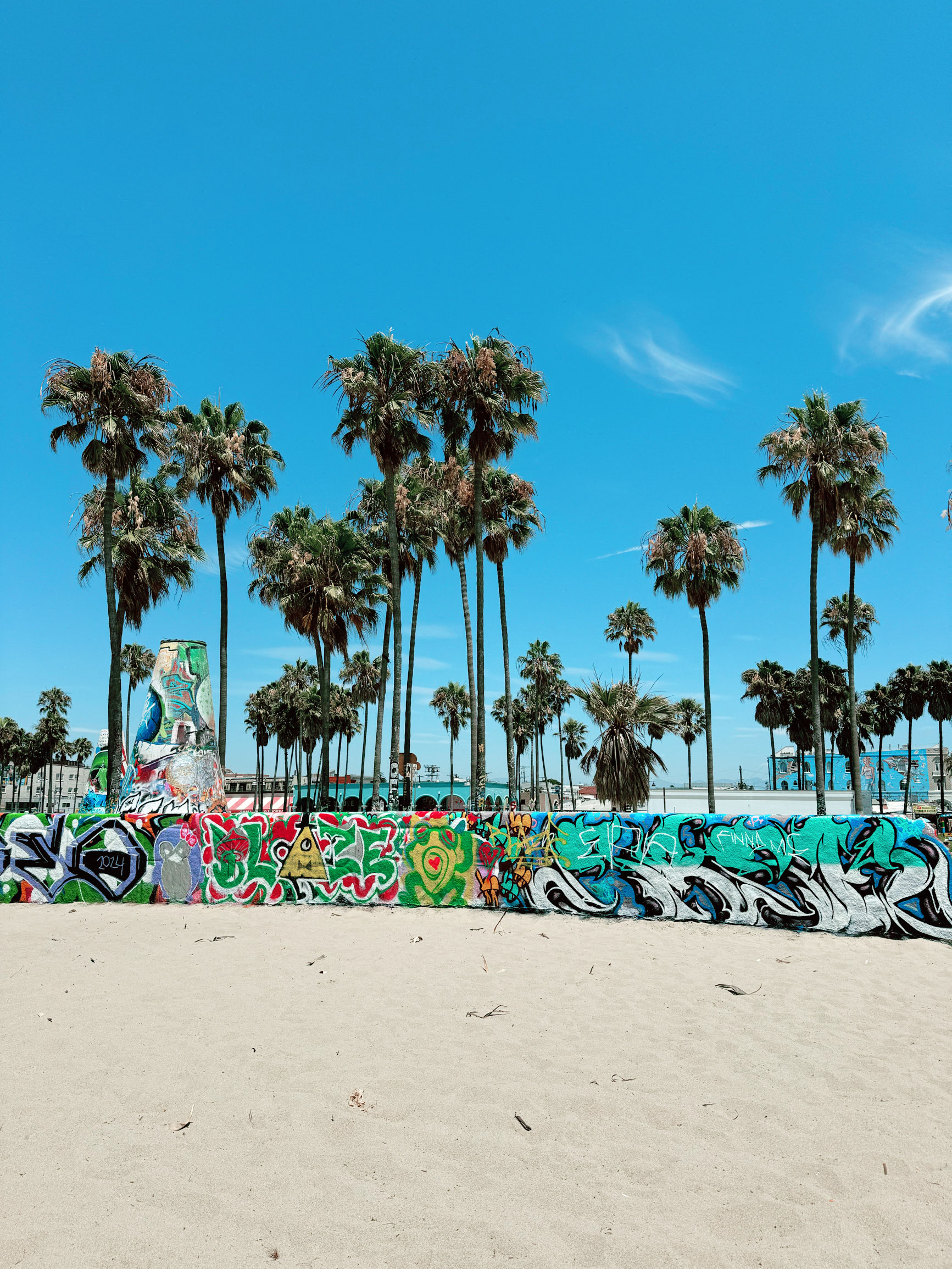 LAっ子気分で楽しもう♪ベニスビーチ⇔サンタモニカビーチ沿いお散歩コース徹底ガイド - Expedia JP