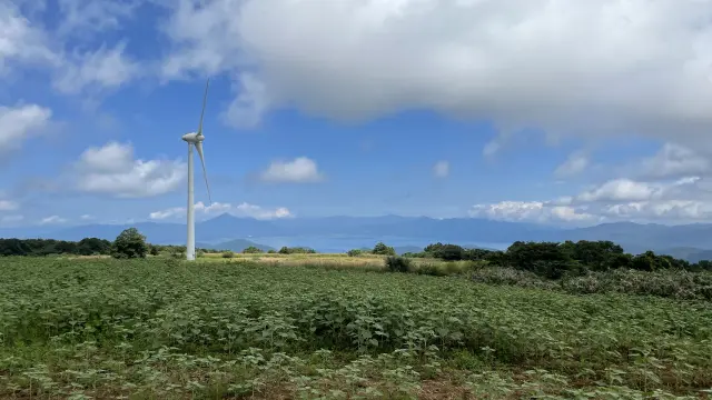 郡山布引風の高原ひまわり 2024.08.192024.08.19郡山布引風の高原 ひまわり畑の情報ライブカメラで公開中