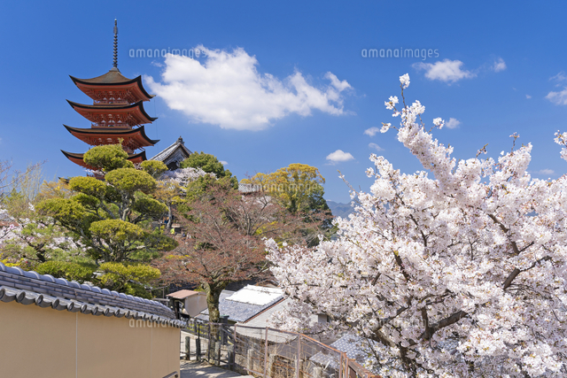 五重塔 千畳閣 あなごめし和田 - 宮島の歩き方うまい広島